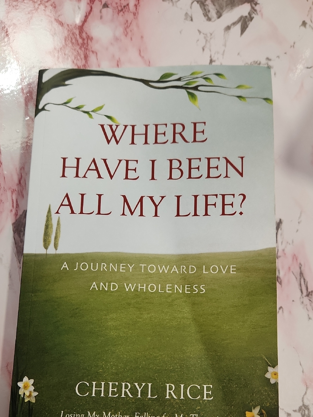 NEW Where Have I Been All My Life? - Green Paperback by Cheryl Rice